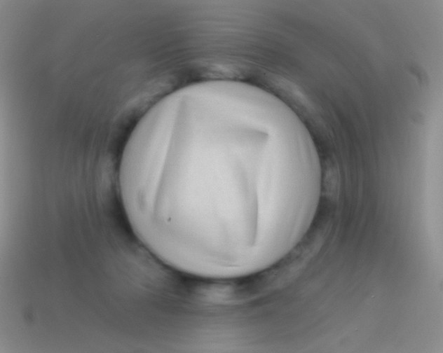 X0000113610318200910161935