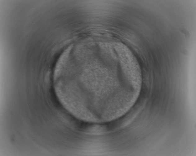 X0000113610319200910161935