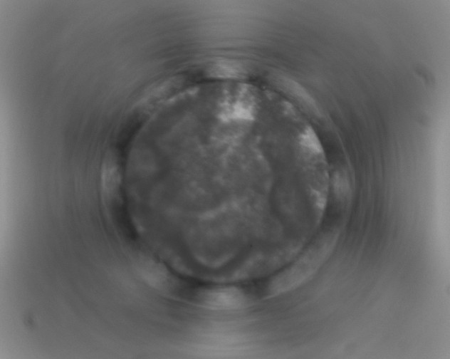 X0000113610322200910161935