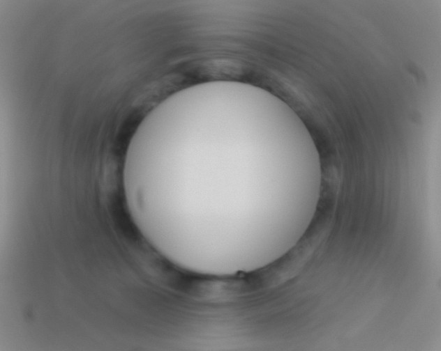 X0000113610323200910161935