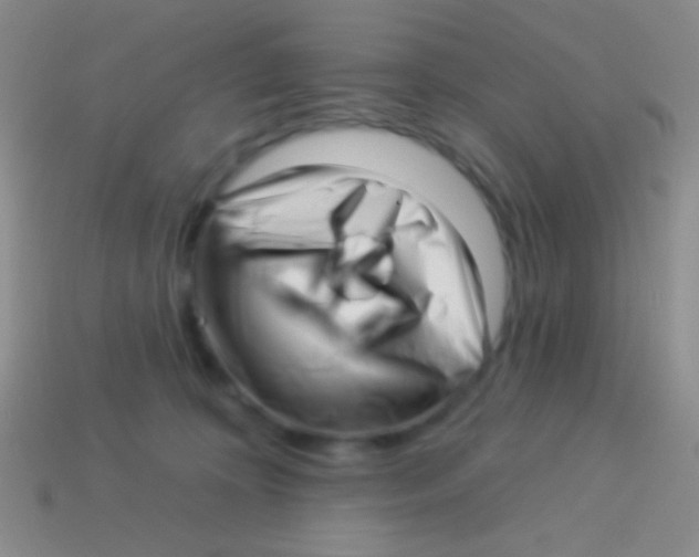 X0000113610324200910161935