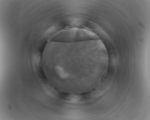 X0000113610328200910161935