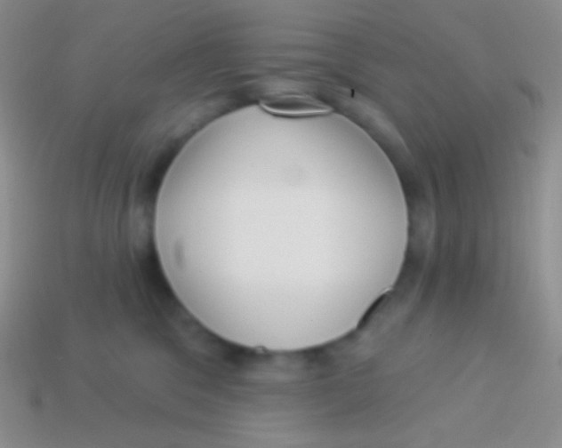 X0000113610329200910161935