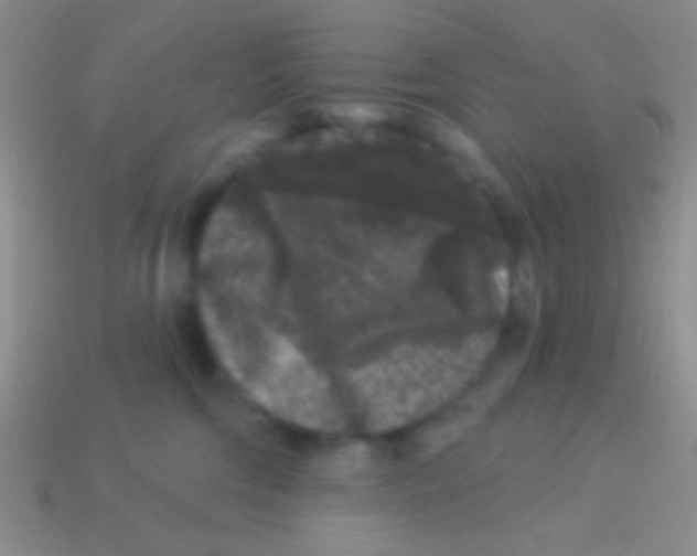 X0000113610330200910161935