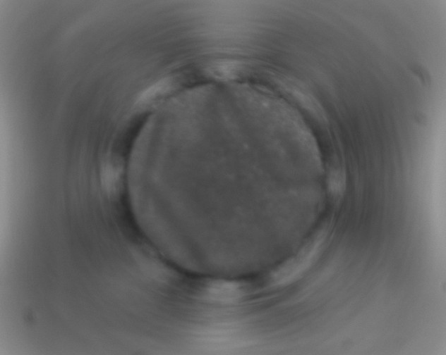 X0000113610332200910161935