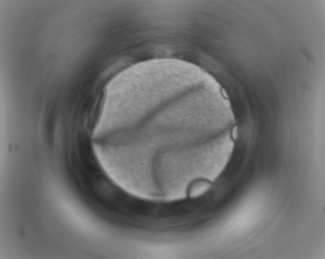 X0000113610335200910161935