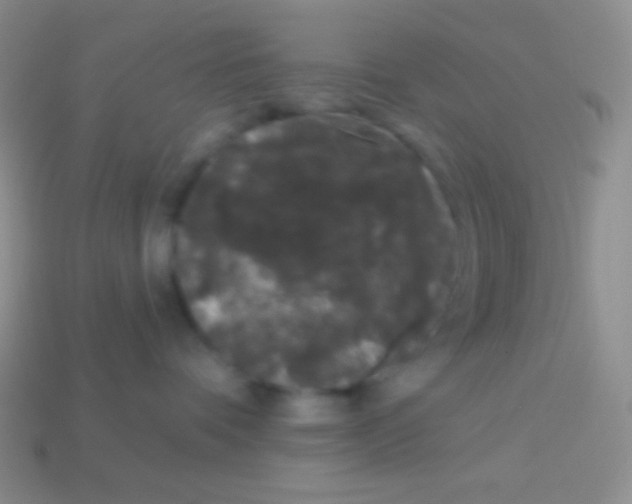 X0000113610336200910161935