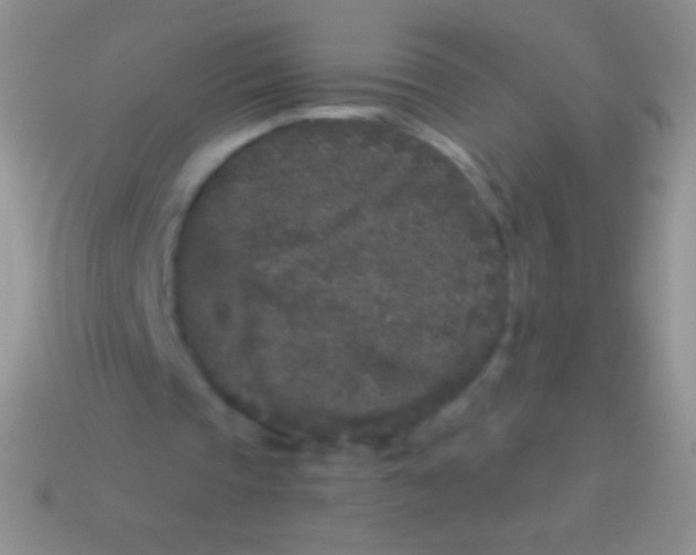 X0000113610337200910161934