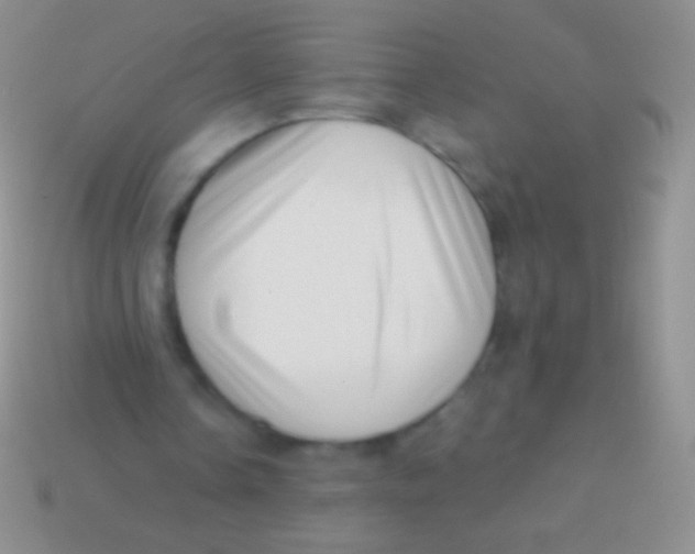 X0000113610338200910161934