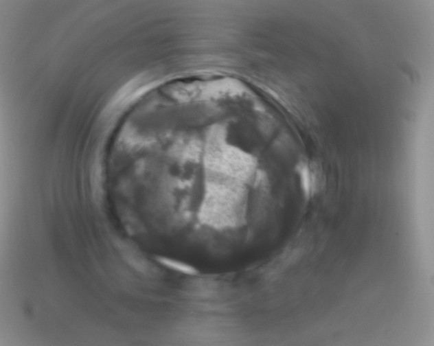 X0000113610339200910161934