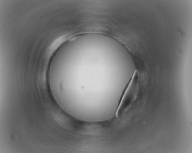 X0000113610340200910161934