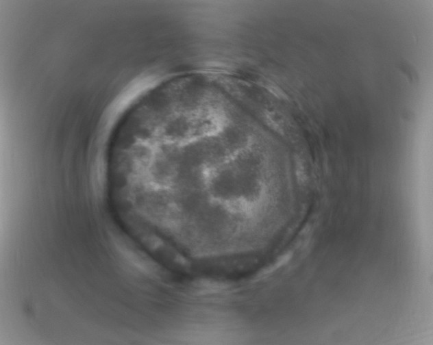 X0000113610343200910161934