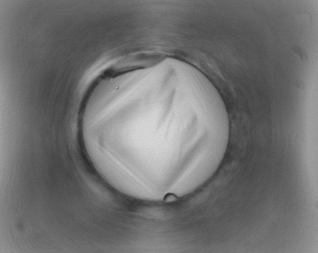 X0000113610344200910161934