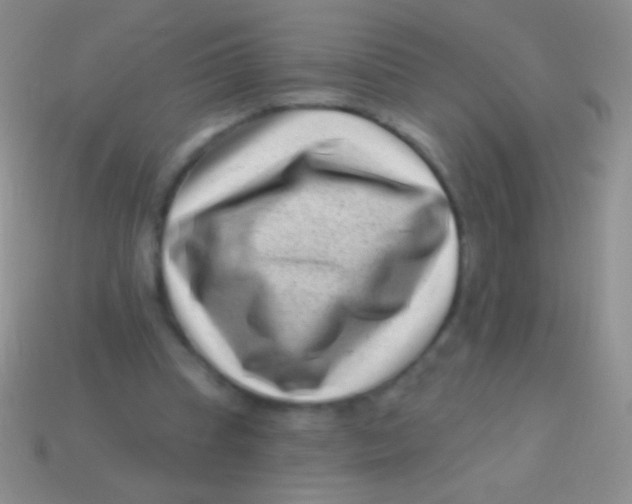 X0000113610345200910161934