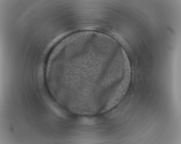 X0000113610346200910161934