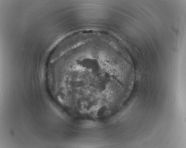 X0000113610347200910161934