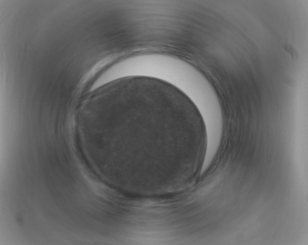 X0000113610348200910161934