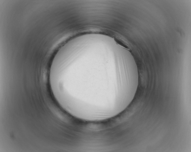 X0000113610350200910161935