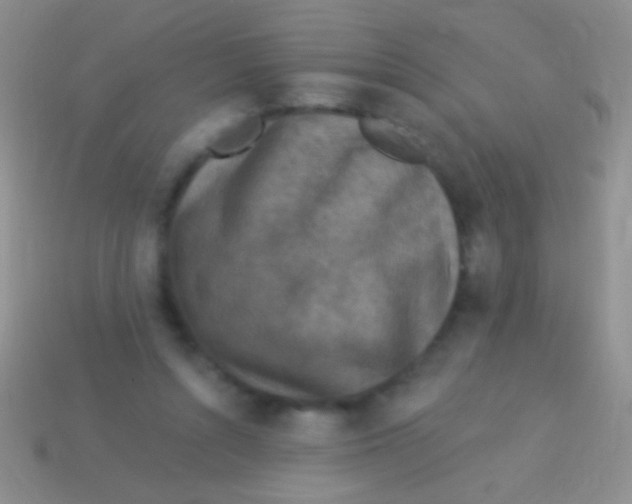 X0000113610352200910161935