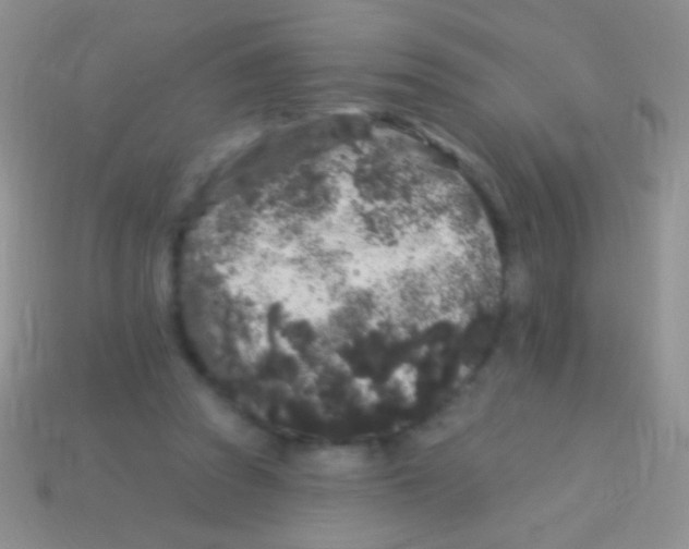 X0000113610353200910161935