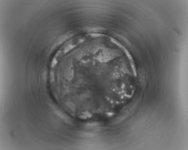 X0000113610357200910161935