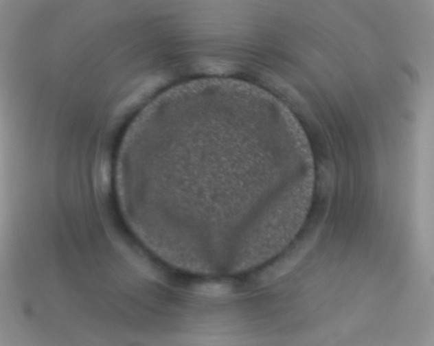 X0000113610358200910161935