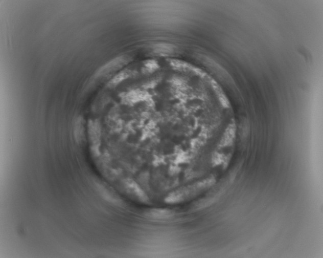 X0000113610361200910161935