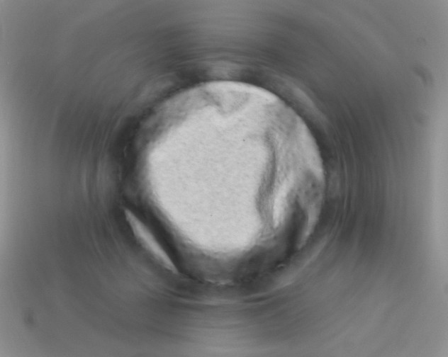 X0000113610363200910161935