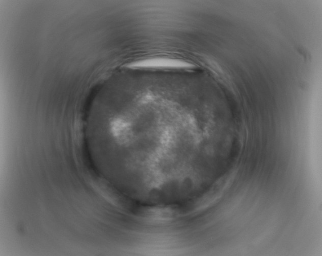 X0000113610366200910161935