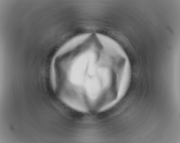 X0000113610369200910161935