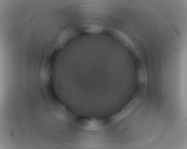 X0000113610370200910161935