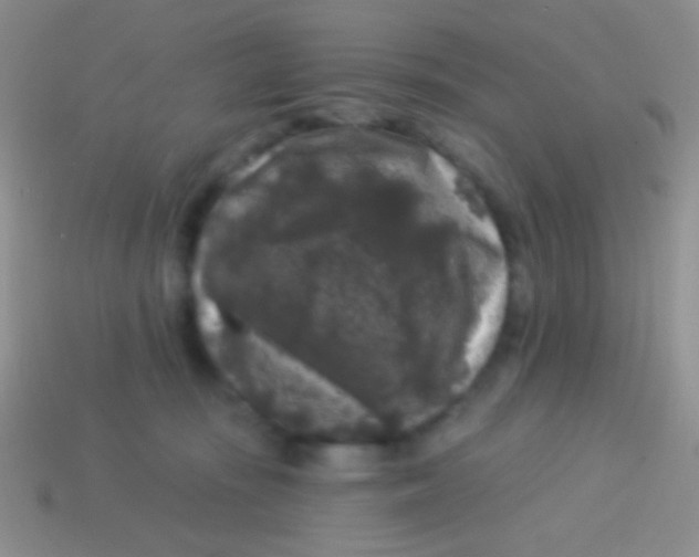 X0000113610371200910161935