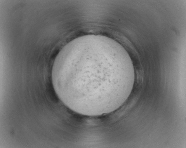 X0000113610372200910161935