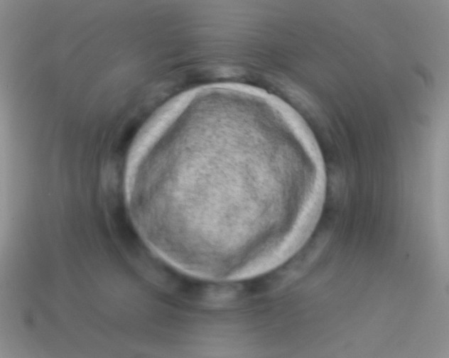 X0000113610373200910161935