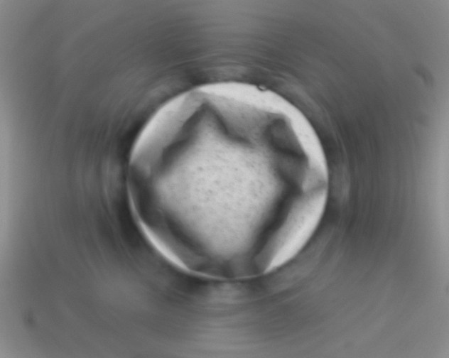 X0000113610378200910161935