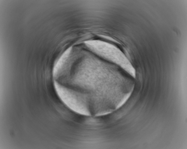 X0000113610380200910161935