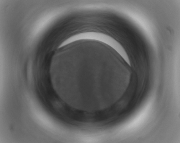 X0000113610382200910161935