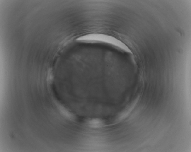 X0000113610383200910161935