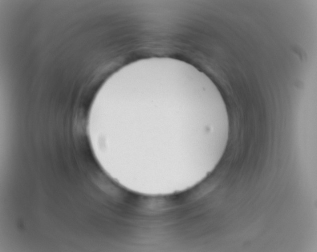 X0000113610384200910161935