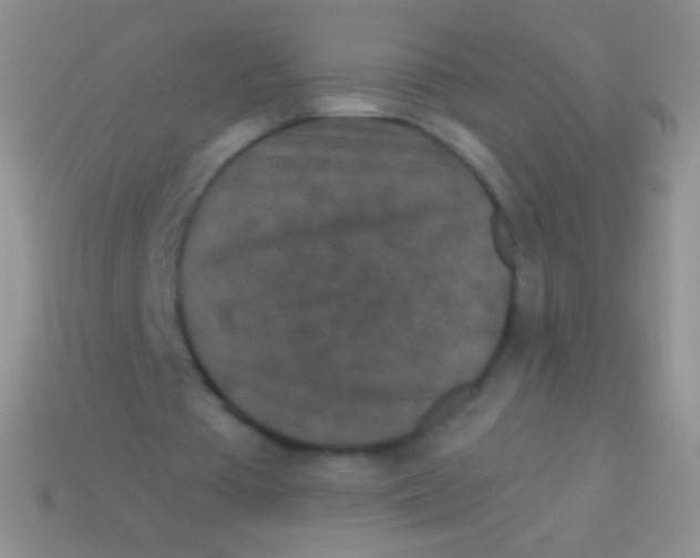 X0000113610385200910161934