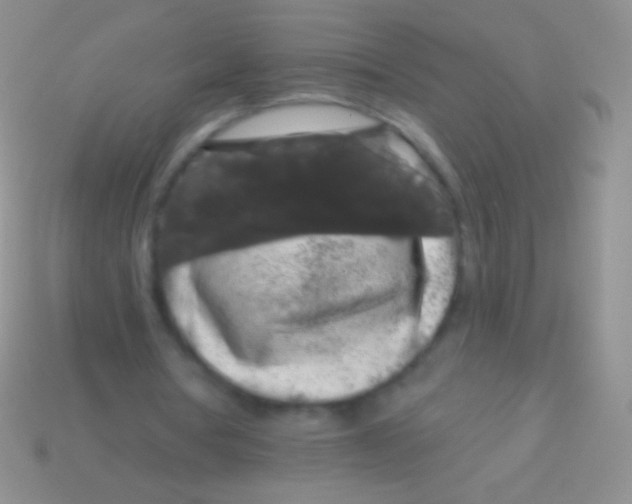 X0000113610386200910161934