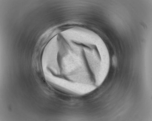 X0000113610388200910161934