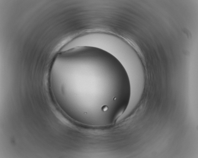 X0000113610389200910161934