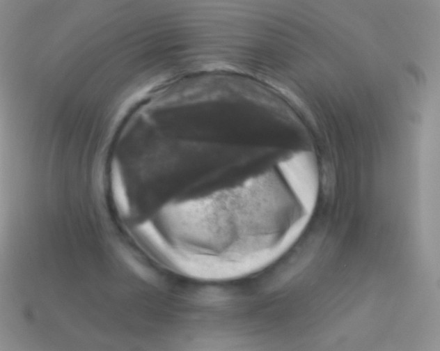 X0000113610390200910161934