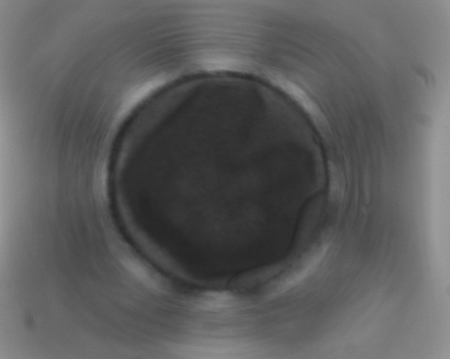 X0000113610391200910161934