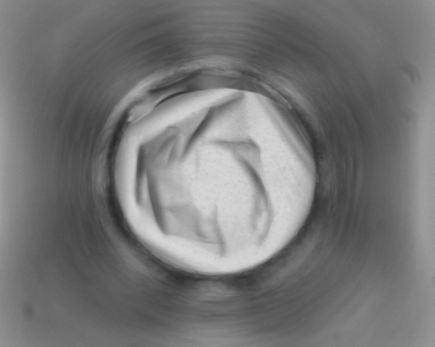 X0000113610392200910161934