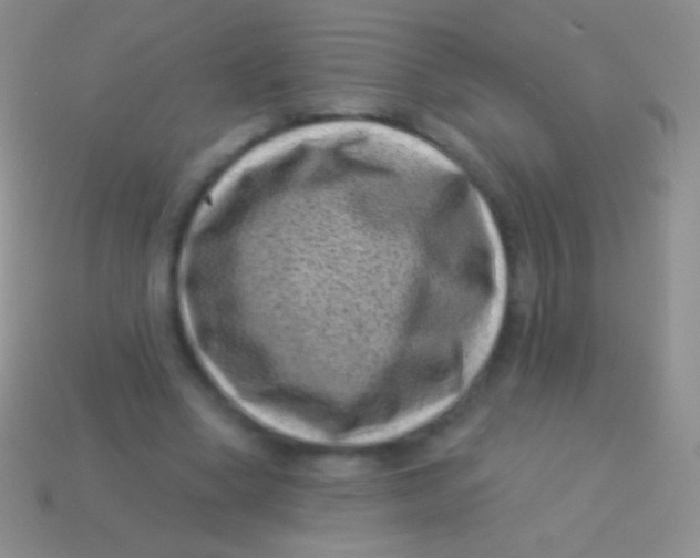 X0000113610394200910161934