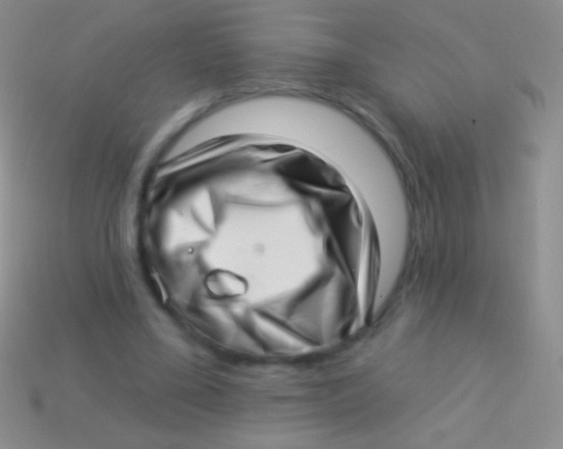 X0000113610395200910161934