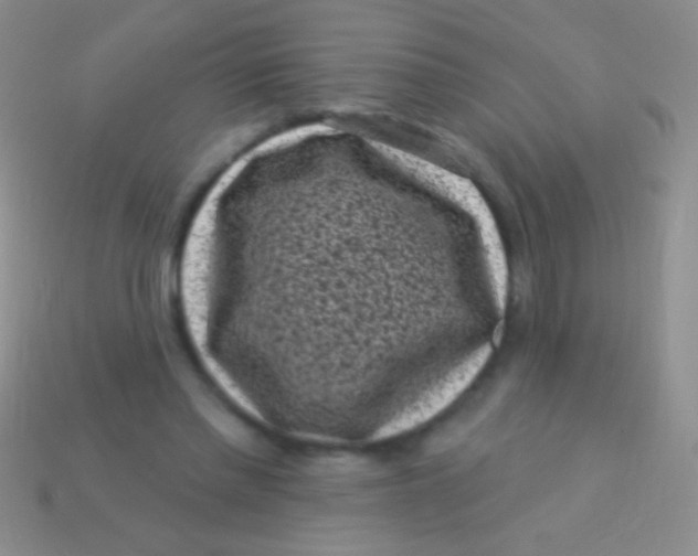 X0000113610397200910161934