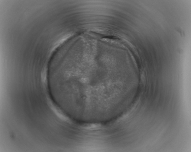 X0000113610398200910161934